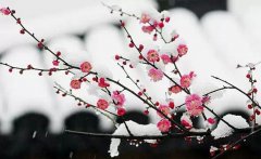 春节不放假 长沙东大做您的健康守卫者!