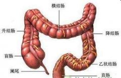 得了直肠炎有哪些症状表现