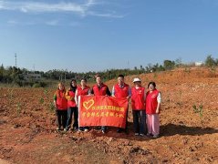 �����׷澫�񣬹�����ɫ��԰����ҽԺ־Ը��ֲ�������ж�